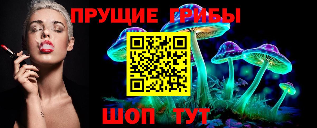 Бирск  Псилоцибиновые грибы Cubensis  Вход с VPN  Псилоцибиновые грибы ЛСД 